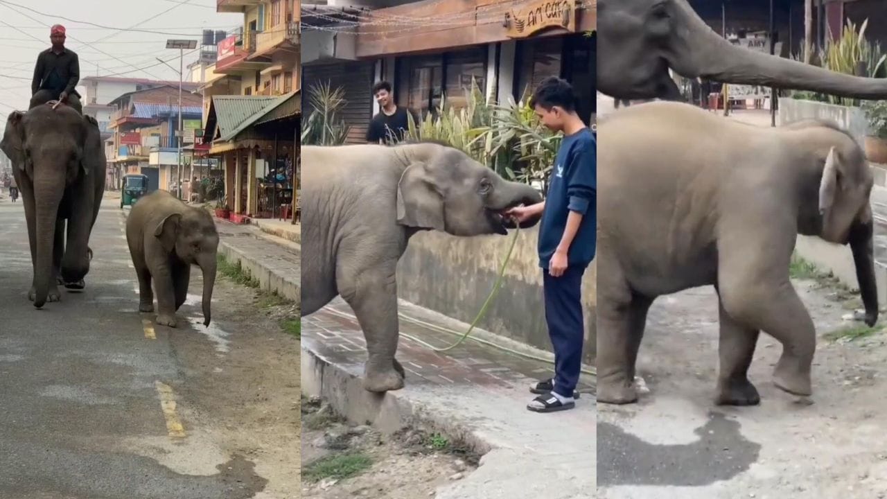 ವಿಡಿಯೋ: ತನ್ನ ಕಂದಮ್ಮನಿಗೆ ನೀರು ಕೊಟ್ಟು ಬಾಯಾರಿಕೆ ನೀಗಿಸಿದ ಯುವಕನಿಗೆ ಧನ್ಯವಾದ ತಿಳಿಸಿದ ಯುವಕ