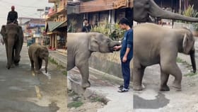 ತನ್ನ ಕಂದಮ್ಮನಿಗೆ ನೀರು ಕೊಟ್ಟು ಬಾಯಾರಿಕೆ ನೀಗಿಸಿದ ಯುವಕನಿಗೆ ಧನ್ಯವಾದ ತಿಳ