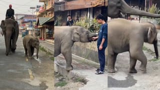 Video: ತನ್ನ ಕಂದಮ್ಮನಿಗೆ ನೀರು ಕೊಟ್ಟು ಬಾಯಾರಿಕೆ ನೀಗಿಸಿದ ಯುವಕನಿಗೆ ಧನ್ಯವಾದ ತಿಳಿಸಿದ ಯುವಕ