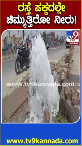 ರಸ್ತೆ ಪಕ್ಕದಲ್ಲೇ ಚಿಮ್ಮುತ್ತಿರೋ ನೀರು!