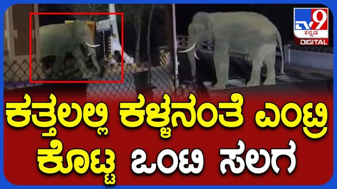 ಪಾಲಾರ್ ಚೆಕ್ ಪೋಸ್ಟ್ ಬಳಿ ರಾತ್ರಿ ವೇಳೆ ಪ್ರತ್ಯಕ್ಷವಾದ ಕಾಡಾನೆ!