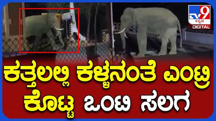 ಕರ್ನಾಟಕ ಗಡಿಯ ಪಾಲಾರ್ ಚೆಕ್ ಪೋಸ್ಟ್ ಬಳಿ ರಾತ್ರಿ ವೇಳೆ ಪ್ರತ್ಯಕ್ಷವಾದ ಕಾಡಾನೆ! ಕರ್ನಾಟಕ ಗಡಿಯ ಪಾಲಾರ್ ಚೆಕ್ ಪೋಸ್ಟ್ ಬಳಿ ರಾತ್ರಿ ವೇಳೆ ಪ್ರತ್ಯಕ್ಷವಾದ ಕಾಡಾನೆ!