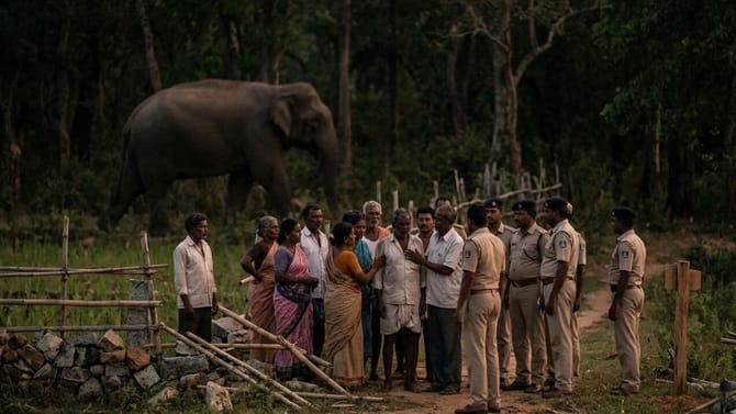 ಕಾಡಾನೆ ದಾಳಿಗೆ ರಸ್ತೆಯಲ್ಲಿ ತೆರಳುತ್ತಿದ್ದ ವ್ಯಕ್ತಿ ದಾರುಣ ಸಾವು