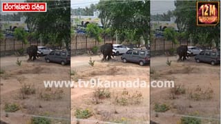 ಕೆಡಿ ಸಿನಿಮಾ ಸುದ್ದಿಗೋಷ್ಠಿ: ಎಷ್ಟೇ ಕೇಳಿದರೂ ಆ ವಿಷಯ ಬಾಯಿ ಬಿಡಲಿಲ್ಲ ಕಿಚ್ಚ ಸುದೀಪ್