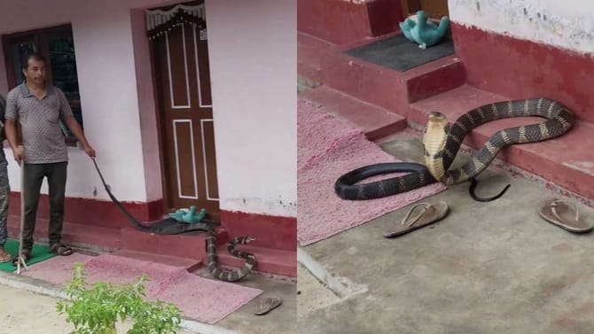 ಮನೆ ಬಾಗಿಲಲ್ಲೇ ಮಲಗಿತ್ತು 10 ಅಡಿ ಕಾಳಿಂಗ ಸರ್ಪ!