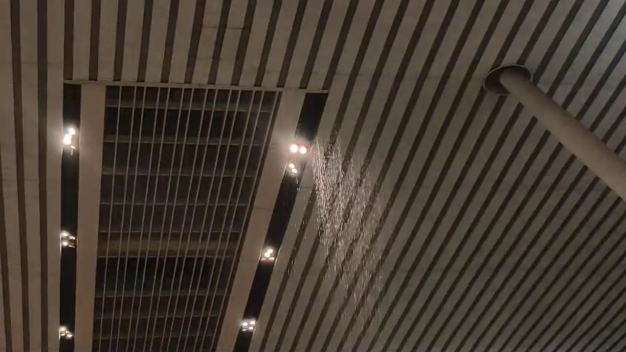 Airport Terminal Roof