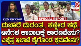 ದುಬಾರೆ ದುರಂತದ ಬೆನ್ನಲ್ಲೇ ಅಲರ್ಟ್: ಅರಣ್ಯ ಇಲಾಖೆ ಕೈಗೊಂಡ ಕ್ರಮಗಳೇನು?