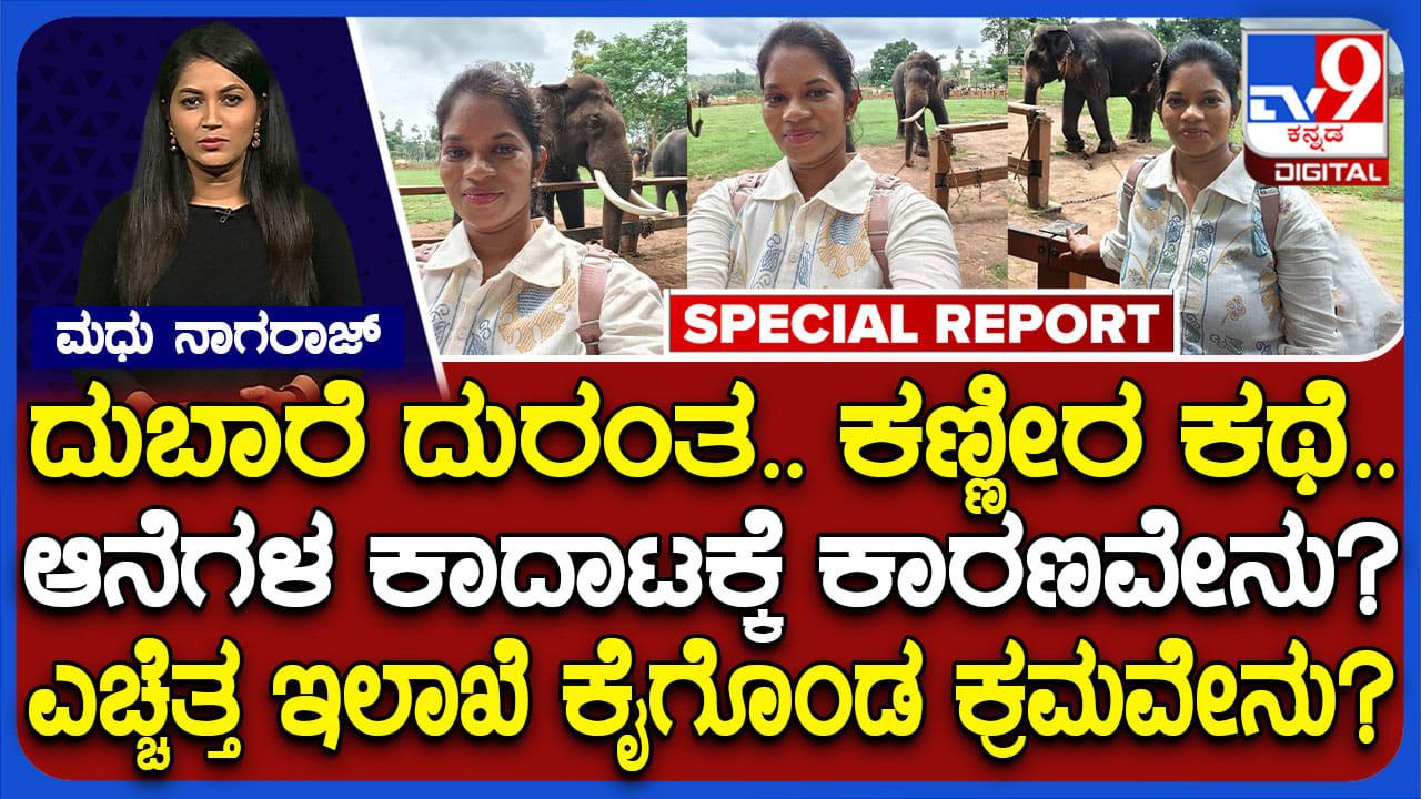 ದುಬಾರೆ ದುರಂತದ ಬೆನ್ನಲ್ಲೇ ಅಲರ್ಟ್: ಅರಣ್ಯ ಇಲಾಖೆ ಕೈಗೊಂಡ ಕ್ರಮಗಳೇನು? ದುಬಾರೆ ದುರಂತದ ಬೆನ್ನಲ್ಲೇ ಅಲರ್ಟ್: ಅರಣ್ಯ ಇಲಾಖೆ ಕೈಗೊಂಡ ಕ್ರಮಗಳೇನು?