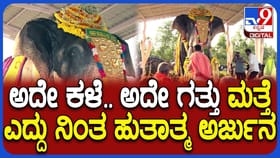 ಹುತಾತ್ಮ ಅಂಬಾರಿ ಆನೆ ಅರ್ಜುನ ಸ್ಮಾರಕ ಉದ್ಘಾಟನೆ, ಹೇಗಿದೆ, ಎಲ್ಲಿದೆ ನೋಡಿ