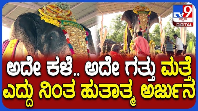 ಹುತಾತ್ಮ ಅಂಬಾರಿ ಆನೆ ಅರ್ಜುನ ಸ್ಮಾರಕ ಉದ್ಘಾಟನೆ, ಹೇಗಿದೆ, ಎಲ್ಲಿದೆ ನೋಡಿ