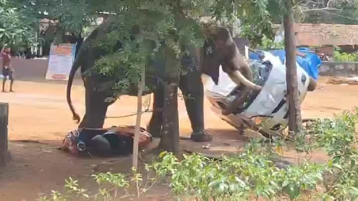 Video: ಕೇರಳದ ಉತ್ಸವದಲ್ಲಿ ನಡುಕ ಹುಟ್ಟಿಸಿದ ಆನೆ ದಾಳಿ, ಇಬ್ಬರು ಸಾವು, ವಿಡಿಯೋದಲ್ಲಿ ಸೆರೆಯಾಯ್ತು ಭೀಕರ ಕ್ಷಣ Video: ಕೇರಳದ ಉತ್ಸವದಲ್ಲಿ ನಡುಕ ಹುಟ್ಟಿಸಿದ ಆನೆ ದಾಳಿ, ಇಬ್ಬರು ಸಾವು, ವಿಡಿಯೋದಲ್ಲಿ ಸೆರೆಯಾಯ್ತು ಭೀಕರ ಕ್ಷಣ
