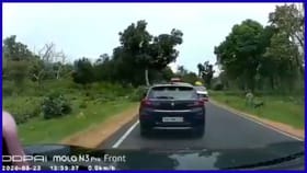 ಬಂಡೀಪುರದಲ್ಲಿ ಚಲಿಸುವ ಕಾರಿಂದ ಬಿಯರ್ ಕ್ಯಾನ್, ಟಿಶ್ಯೂ ಎಸೆದ ಪ್ರವಾಸಿಗರು