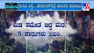 ವಿಶ್ವದ ಅತ್ಯಂತ ದುಬಾರಿ ಮಾವಿನ ಹಣ್ಣು ಬೆಳೆದು ಸೈ ಎನಿಸಿಕೊಂಡ ಬೀದರ್ ರೈತ