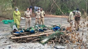 ತುಮಕೂರಿನಲ್ಲಿ ಹೆಚ್ಚಿದ ಹಕ್ಕಿ ಜ್ವರದ ಭೀತಿ:50ಕ್ಕೂ ಹೆಚ್ಚು ನವಿಲುಗಳ ಸಾವು!