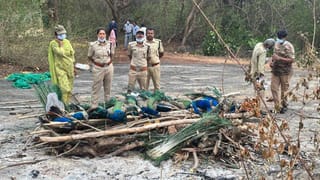 ತುಮಕೂರಿನಲ್ಲಿ ಹೆಚ್ಚಾಯ್ತು ಹಕ್ಕಿ ಜ್ವರದ ಭೀತಿ: 50ಕ್ಕೂ ಹೆಚ್ಚು ನವಿಲುಗಳ ಸಾವು!