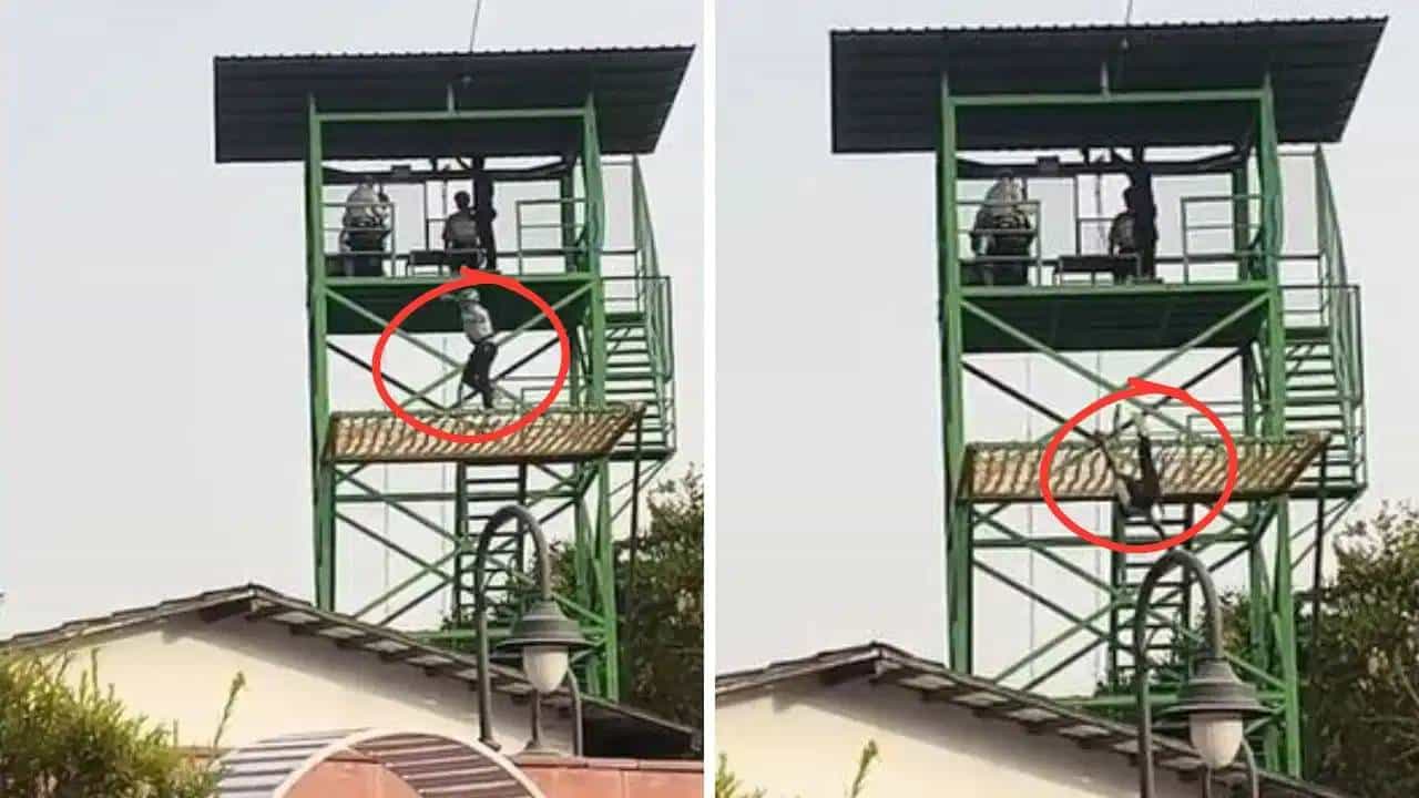 Video: ಪೋಷಕರೆದುರೇ ಜಿಪ್ ಲೈನ್ ರೈಡ್ ವೇಳೆ ಬಿದ್ದು ಪ್ರಾಣಬಿಟ್ಟ ಬಾಲಕ