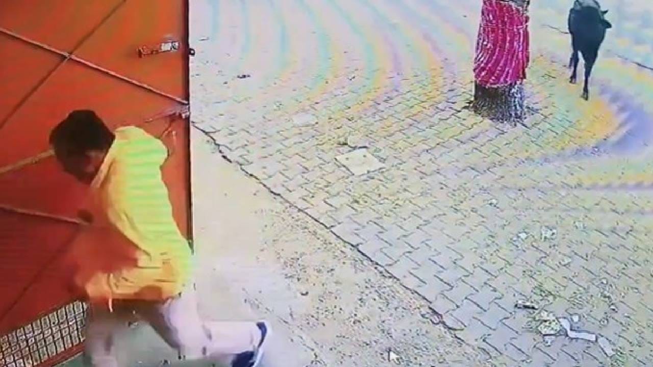 Video: ರಸ್ತೆಯಲ್ಲಿ ತನ್ನಷ್ಟಕ್ಕೆ ಹೋಗುತ್ತಿದ್ದ ಗೂಳಿಗೆ ಹೊಡೆಯಲು ಹೋದವನ ಗತಿ ಏನಾಯ್ತು ನೋಡಿ