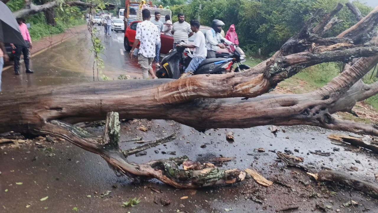 Chikkamagaluru Rain Effect