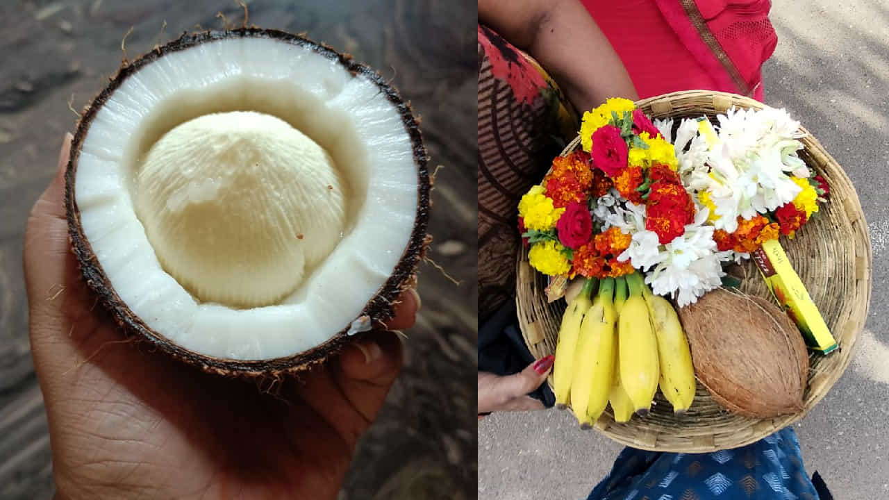 Coconut Flower: ಪೂಜೆಗಿಟ್ಟ ತೆಂಗಿನಕಾಯಿಯಲ್ಲಿ ಹೂವು ಬಂದಿದ್ದರೆ ಅದು ಅಶುಭವೇ?