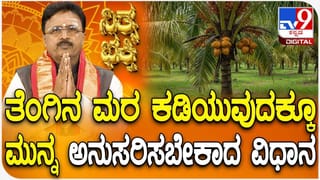 Vibhuti Benefits: ಮಕ್ಕಳ ಹಣೆಗೆ ವಿಭೂತಿ, ಕುಂಕುಮ, ಗಂಧ ಹಚ್ಚುವುದರ ಹಿಂದಿನ ರಹಸ್ಯ ಮತ್ತು ಪ್ರಯೋಜನ