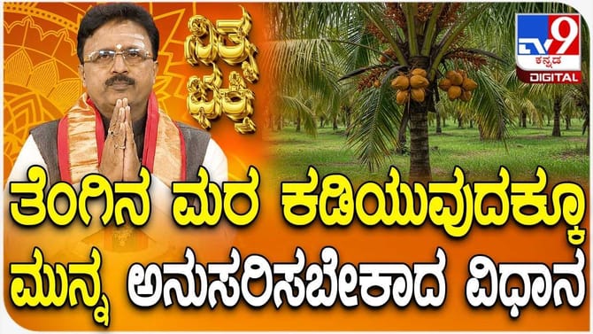 ತೆಂಗಿನ ಮರ ಕಡಿಯುವುದಕ್ಕೂ ಮುನ್ನ ಅನುಸರಿಸಬೇಕಾದ ವಿಧಾನ ಇಲ್ಲಿದೆ