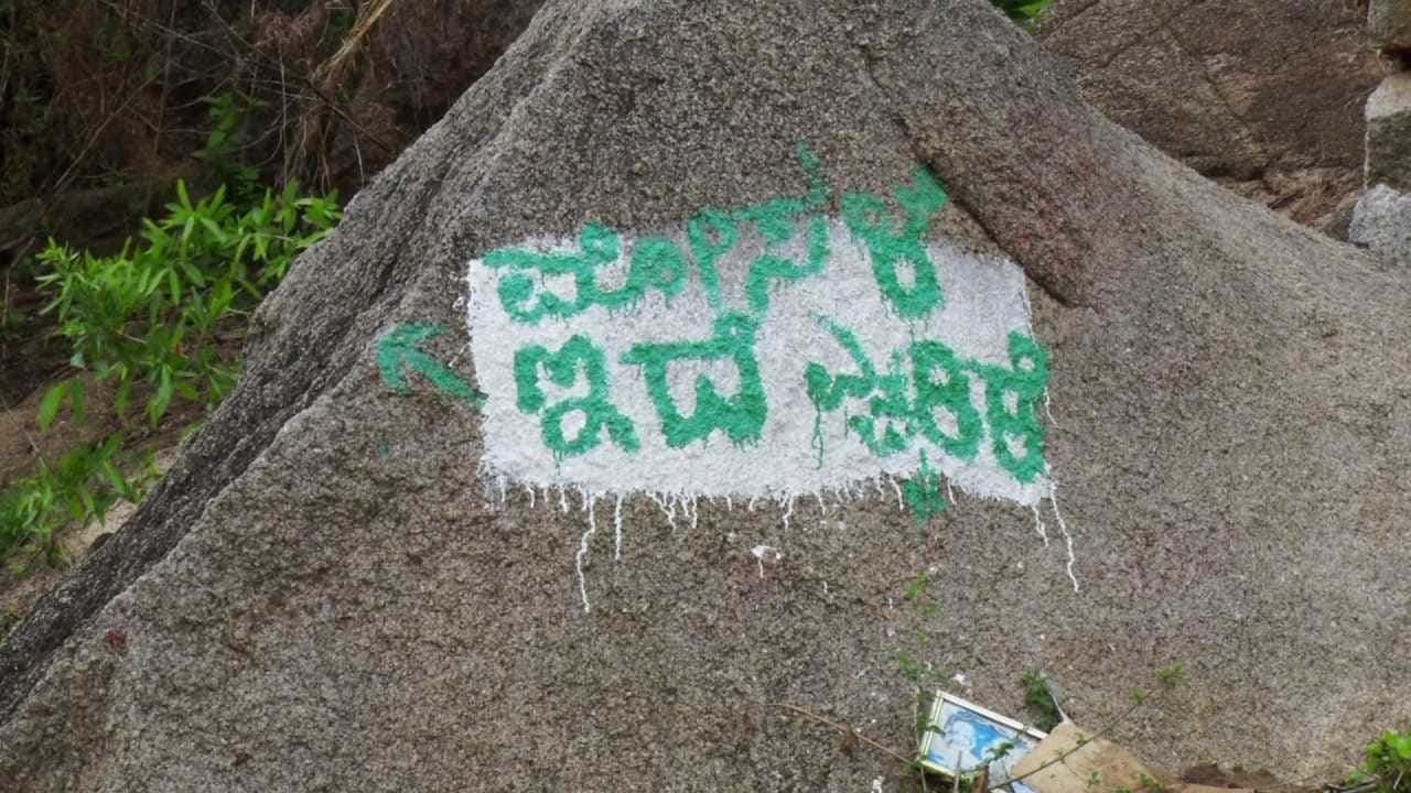 Chitradurga: ಯುವಕರಿಗೆ ಸ್ವಿಮ್ಮಿಂಗ್ ಪೂಲ್ ಆಗಿದ್ದ ಹೊಂಡಕ್ಕೆ ಮೊಸಳೆ ಎಂಟ್ರಿ, ಗೊತ್ತಿದ್ರೂ ಈಜಾಟ Chitradurga: ಯುವಕರಿಗೆ ಸ್ವಿಮ್ಮಿಂಗ್ ಪೂಲ್ ಆಗಿದ್ದ ಹೊಂಡಕ್ಕೆ ಮೊಸಳೆ ಎಂಟ್ರಿ, ಗೊತ್ತಿದ್ರೂ ಈಜಾಟ