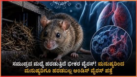 ಮನುಷ್ಯರಿಂದ ಮನುಷ್ಯರಿಗೆ ಹರಡುವ 'ಆಂಡಿಸ್ ವೈರಸ್' ಸೋಂಕು