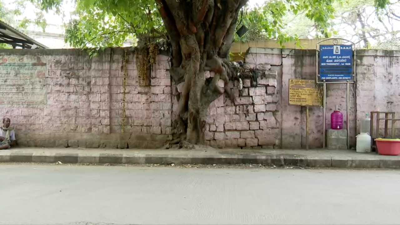 ಸದರಿ ಗೋಡೆಯು ಪಕ್ಕದಲ್ಲೇ ಇರುವ ಮರವೊಂದಕ್ಕೆ ತಾಕಿಕೊಂಡು ವಾಲಿದ ಸ್ಥಿತಿಯಲ್ಲಿದೆ. ಮರದ ಆಸರೆಯಲ್ಲೇ ಗೋಡೆ ನಿಂತಂತಿದ್ದು, ಗಾಳಿ ಅಥವಾ ಮಳೆಗೆ ಮರವೇನಾದರೂ ಅಲುಗಾಡಿದರೆ ಇಡೀ ಗೋಡೆ ರಸ್ತೆಯ ಮೇಲೆ ಬೀಳುವ ಸಾಧ್ಯತೆ ಇದೆ. ಇದು ರಸ್ತೆಯಲ್ಲಿ ಸಂಚರಿಸುವವರ ಪಾಲಿಗೆ ‘ಡೆಡ್ಲಿ ಸ್ಪಾಟ್’ ಆಗಿ ಮಾರ್ಪಟ್ಟಿದೆ.
