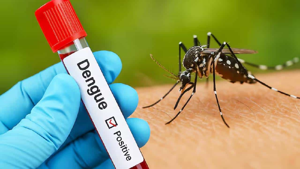 National Dengue Day 2026: ಡೆಂಗ್ಯೂ ಜ್ವರದ ಬಗ್ಗೆ ನಿರ್ಲಕ್ಷ್ಯ ಬೇಡ, ಸಣ್ಣ ಅಸಡ್ಡೆಯೂ ಜೀವಕ್ಕೆ ಮಾರಕ
