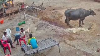 ನೂತನ ಮುಖ್ಯಮಂತ್ರಿ ಪದಗ್ರಹಣ ಸಮಾರಂಭಕ್ಕೆ ಸಜ್ಜಾಗುತ್ತಿದೆ ವಿಧಾನಸೌಧ: ಹೇಗಿದೆ ಗೊತ್ತಾ ಸಿದ್ಧತೆ?