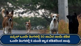 ಕೇವಲ 4 ತಿಂಗಳಲ್ಲಿ 2 ಲಕ್ಷಕ್ಕೂ ಹೆಚ್ಚು ಜನರಿಗೆ ನಾಯಿ ಕಡಿತ, 25 ಸಾವು