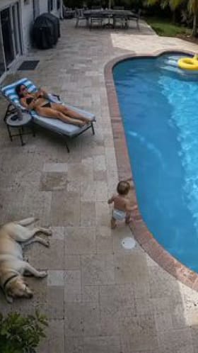 ಈಜುಕೊಳಕ್ಕೆ ಬಿದ್ದ ಮಗುವನ್ನು ಕಾಪಾಡಿದ ನಾಯಿ!