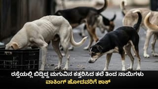 Uttar Pradesh Rains: ಉತ್ತರ ಪ್ರದೇಶದಲ್ಲಿ ವರುಣಾರ್ಭಟ; ಭೀಕರ ಬಿರುಗಾಳಿ ಮಳೆಗೆ 74 ಮಂದಿ ಸಾವು, ಹಲವೆಡೆ ರೆಡ್ ಅಲರ್ಟ್