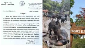 ಆನೆಗಳ ಕಾದಾಟದಲ್ಲಿ ಮಹಿಳೆ ಸಾವು, ಪ್ರವಾಸಿಗರಿಗೆ ಮಾರ್ಗಸೂಚಿ ಪ್ರಕಟ