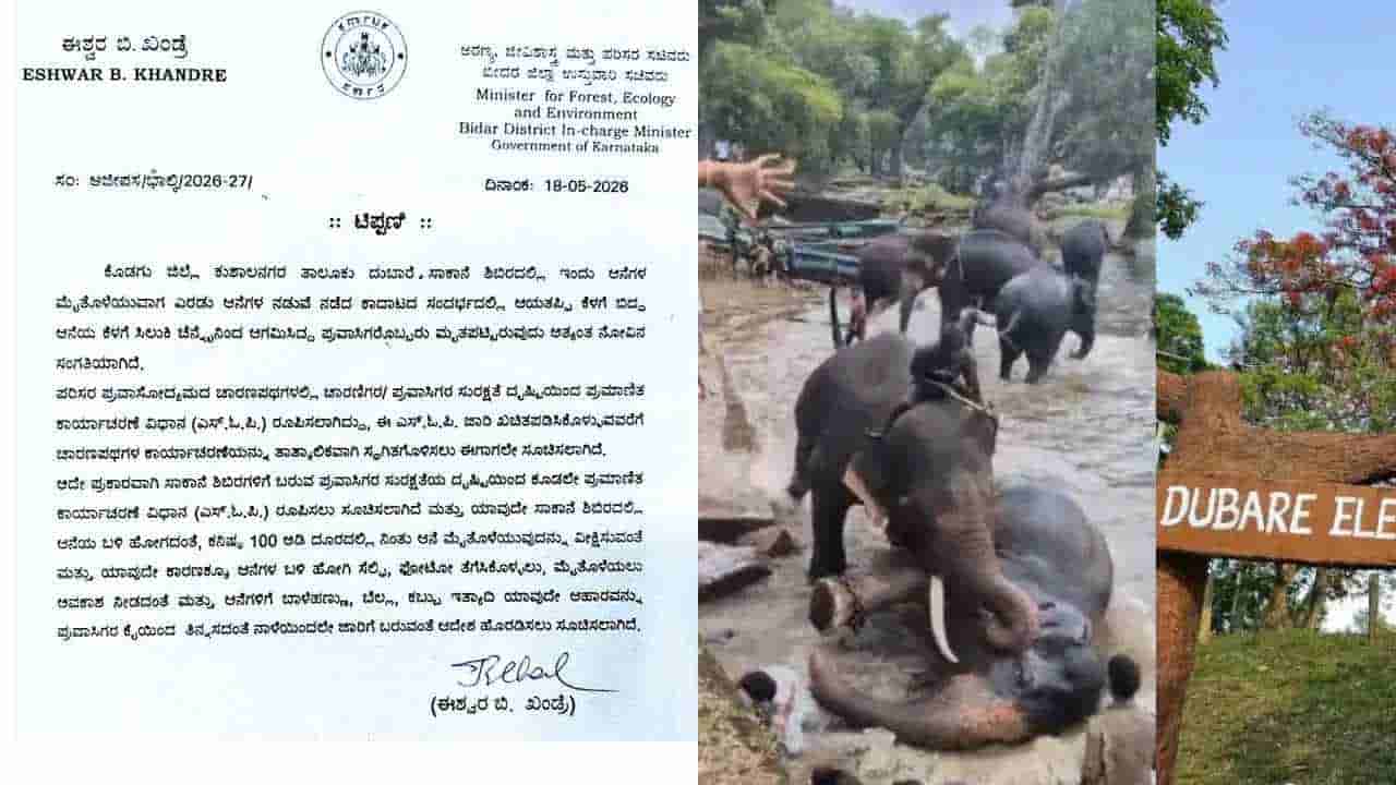 ದುಬಾರೆಯಲ್ಲಿ ಆನೆಗಳ ಕಾದಾಟದಲ್ಲಿ ಮಹಿಳೆ ಸಾವು ಬೆನ್ನಲ್ಲೇ ಪ್ರವಾಸಿಗರಿಗೆ ಮಾರ್ಗಸೂಚಿ ಪ್ರಕಟ