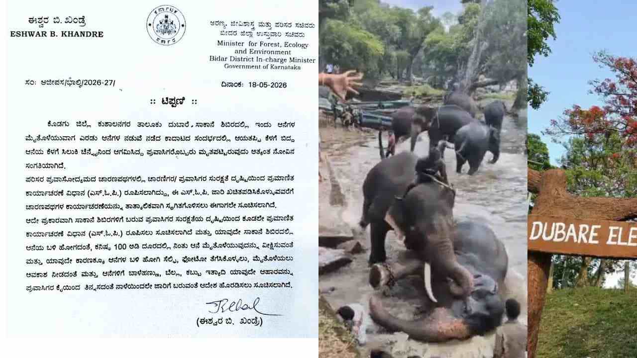 ದುಬಾರೆಯಲ್ಲಿ ಆನೆಗಳ ಕಾದಾಟದಲ್ಲಿ ಮಹಿಳೆ ಸಾವು ಬೆನ್ನಲ್ಲೇ ಪ್ರವಾಸಿಗರಿಗೆ ಮಾರ್ಗಸೂಚಿ ಪ್ರಕಟ