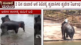 ದುಬಾರೆ ಆನೆ ಶಿಬಿರ 2 ದಿನ ಬಂದ್: ಪ್ರವಾಸಿಗರ ಪ್ರವೇಶಕ್ಕೆ ನಿರ್ಬಂಧ