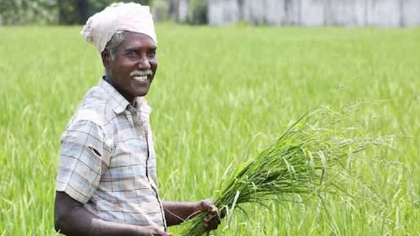 PM Kisan Scheme: ಪಿಎಂ ಕಿಸಾನ್ 23ನೇ ಕಂತಿನ ಹಣ ಜೂನ್ನಲ್ಲಿ ಬರುತ್ತಾ? ಈ ಕಾರ್ಯ ಮಾಡದವರಿಗೆ ಸಿಕ್ಕೋದಿಲ್ಲಾ ಹಣ
