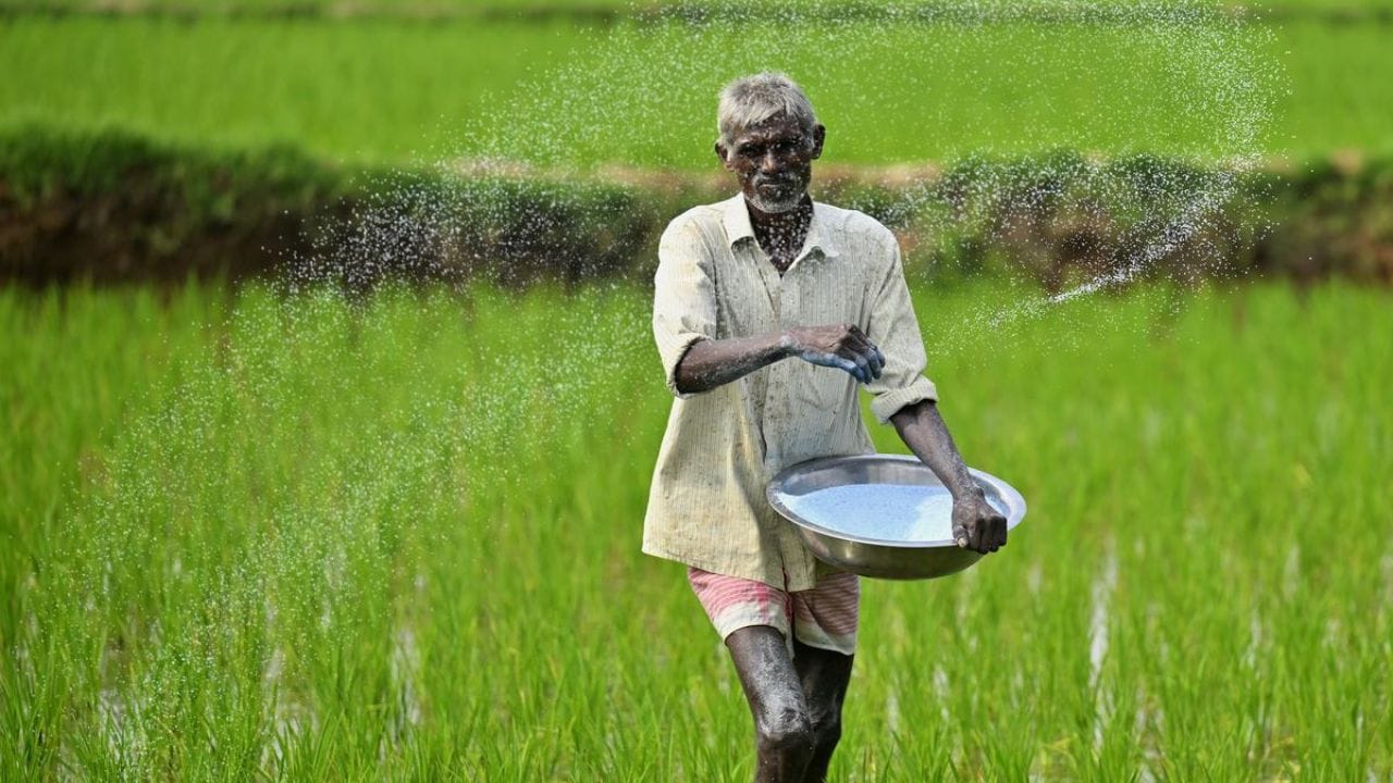 Karnataka farmer working in field, symbolizing agricultural challenges due to fertilizer shortage.