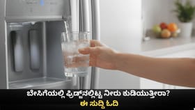 ಬೇಸಿಗೆಯಲ್ಲಿ ಫ್ರಿಡ್ಜ್​ನಲ್ಲಿಟ್ಟ ನೀರು ಕುಡಿಯುತ್ತೀರಾ?