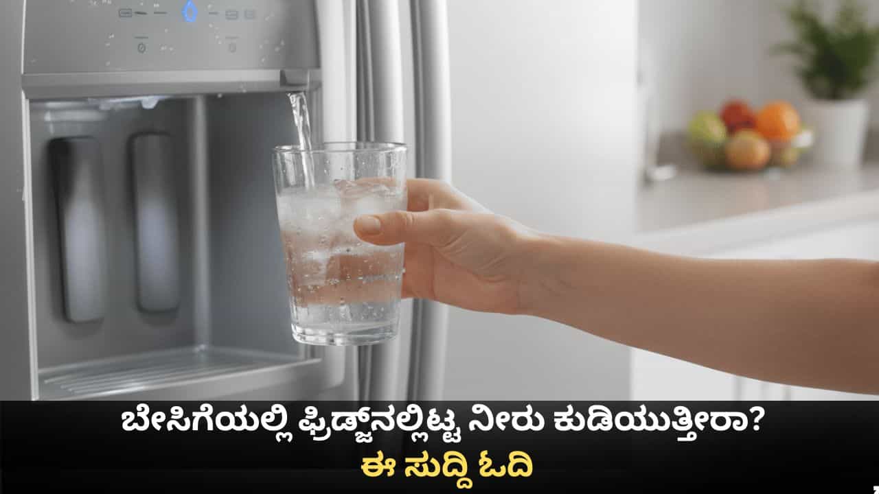 ಬೇಸಿಗೆಯಲ್ಲಿ ಫ್ರಿಡ್ಜ್ನಲ್ಲಿಟ್ಟ ನೀರು ಕುಡಿದರೆ ಏನಾಗುತ್ತದೆ? ಬೇಸಿಗೆಯಲ್ಲಿ ಫ್ರಿಡ್ಜ್ನಲ್ಲಿಟ್ಟ ನೀರು ಕುಡಿದರೆ ಏನಾಗುತ್ತದೆ?