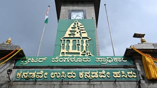 ವನ್ಯಜೀವಿಗಳಿಗೆ ತೊಂದರೆ ಆತಂಕ: ಆನೆಕಲ್​​ ಬಳಿ ಹೊಸ ಕ್ರಿಕೆಟ್ ಸ್ಟೇಡಿಯಂ ನಿರ್ಮಾಣಕ್ಕೆ ತೀವ್ರ ವಿರೋಧ