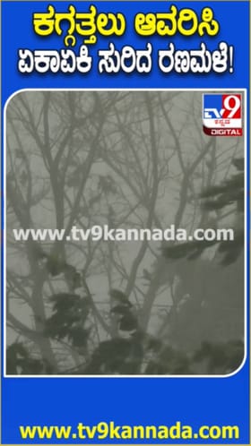 ಗದಗ ಜಿಲ್ಲೆಯಲ್ಲಿ ಏಕಾಏಕಿ ಸುರಿದ ಭಾರೀ ಮಳೆ: ತಂಪೆರೆದ ಮಳೆರಾಯ