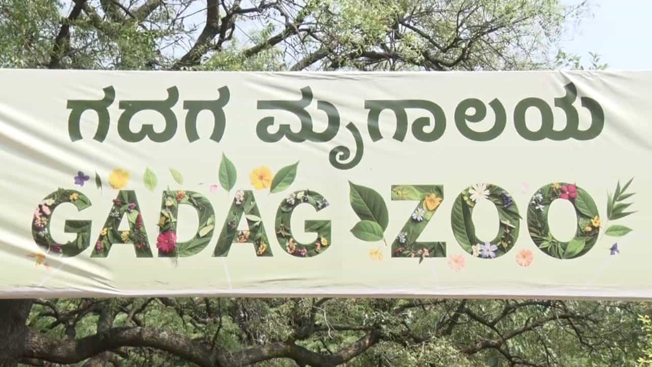ರಾಜ್ಯದಲ್ಲಿ ಬಿಸಿಲಿನ ತಾಪ ಹೆಚ್ಚಾಗಿದ್ದು, ಮನುಷ್ಯರ ಜೊತೆಗೆ ಪ್ರಾಣಿಗಳು ಸಹ ತತ್ತರಿಸಿವೆ. ಹೀಗಾಗಿ ಮೃಗಾಲಯದ ವನ್ಯಜೀವಿಗಳಿಗೆ ವಿಶೇಷ ಆರೈಕೆ ಮಾಡಲಾಗುತ್ತಿದೆ. ಇತ್ತ ಗದಗನ ಬಿಂಕದಕಟ್ಟಿ ಪ್ರಾಣಿ ಸಂಗ್ರಹಾಲಯದಲ್ಲಿರುವ ಪ್ರಾಣಿಗಳ ರಕ್ಷಣೆಗೆ ಹೆಚ್ಚುವರಿ ಕಾಳಜಿ ವಹಿಸಲಾಗುತ್ತಿದೆ. ಅದಕ್ಕಾಗಿ ವಿಶೇಷ ಮುನ್ನೆಚ್ಚರಿಕೆ ಹಾಗೂ ಆರೈಕೆ ಕ್ರಮಗಳನ್ನು ಕೈಗೊಳ್ಳಲಾಗಿದೆ.