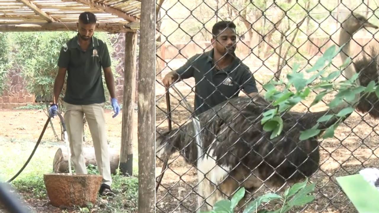 ಬಿಸಿಲು ಹೆಚ್ಚಾದರೂ ವನ್ಯಜೀವಿಗಳ ರಕ್ಷಣೆಗೆ ಅರಣ್ಯ ಇಲಾಖೆ ಕೈಗೊಂಡಿರುವ ಕ್ರಮಗಳು ಮಾನವೀಯತೆಗೂ, ಪರಿಸರ ಸಂರಕ್ಷಣೆಗೂ ಉತ್ತಮ ಉದಾಹರಣೆಯಾಗಿದೆ.
