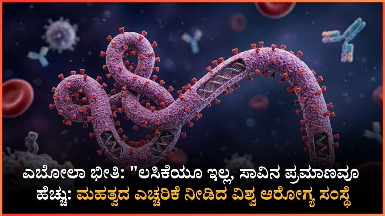 Ebola Virus Threat: ಜಗತ್ತಿಗೆ ಮತ್ತೊಂದು ಮಾರಣಾಂತಿಕ ವೈರಸ್ ಎಂಟ್ರಿ!: ವಿಶ್ವ ಆರೋಗ್ಯ ಸಂಸ್ಥೆ ಎಚ್ಚರಿಕೆ Ebola Virus Threat: ಜಗತ್ತಿಗೆ ಮತ್ತೊಂದು ಮಾರಣಾಂತಿಕ ವೈರಸ್ ಎಂಟ್ರಿ!: ವಿಶ್ವ ಆರೋಗ್ಯ ಸಂಸ್ಥೆ ಎಚ್ಚರಿಕೆ