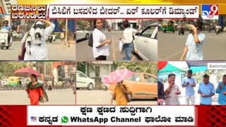 Karnataka Heatwave: ರಣಬಿಸಿಲಿಗೆ ಪ್ರಾಣಿ, ಪಕ್ಷಿ, ಮನುಷ್ಯರ ನರಳಾಟ; ರಾಯಚೂರಿನಲ್ಲಿ ಇಬ್ಬರ ಸಾವು