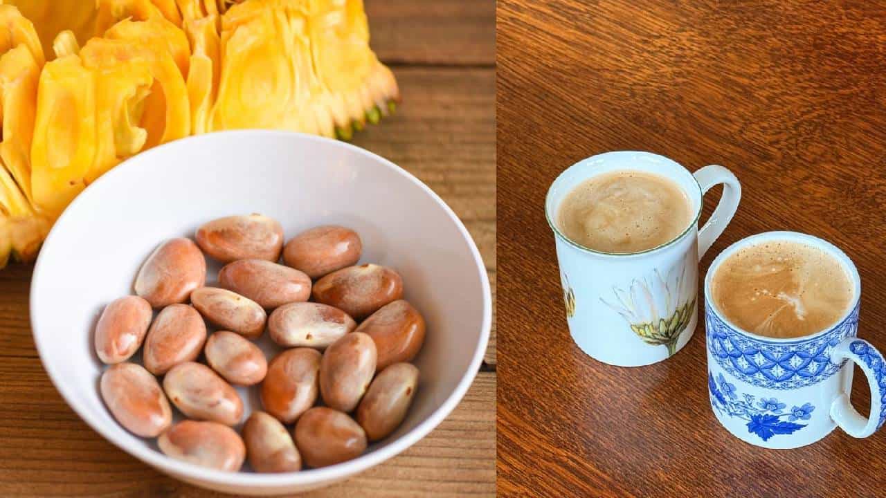 ಇದು ಹಲಸಿನ ಬೀಜದ ಕಾಫಿ; ತಯಾರಿಸೋದು ಬಲು ಸುಲಭ