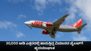 30,000 ಅಡಿ ಎತ್ತರದಲ್ಲಿ ಹಾರುತ್ತಿದ್ದ ವಿಮಾನದ ಪೈಲಟ್‌ಗೆ ಹೃದಯಾಘಾತ; ಪ್ರಯಾಣಿಕರ ಕತೆ ಏನಾಯ್ತು?
