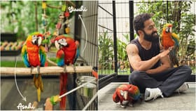 ಜನ್ಮದಿನದಂದೇ ಜೂನಿಯರ್​​ ಎನ್​​ಟಿಆರ್​ ಗುಡ್​ ನ್ಯೂಸ್​; ಮನೆಗೆ ಬಂದ ಅತಿಥಿ